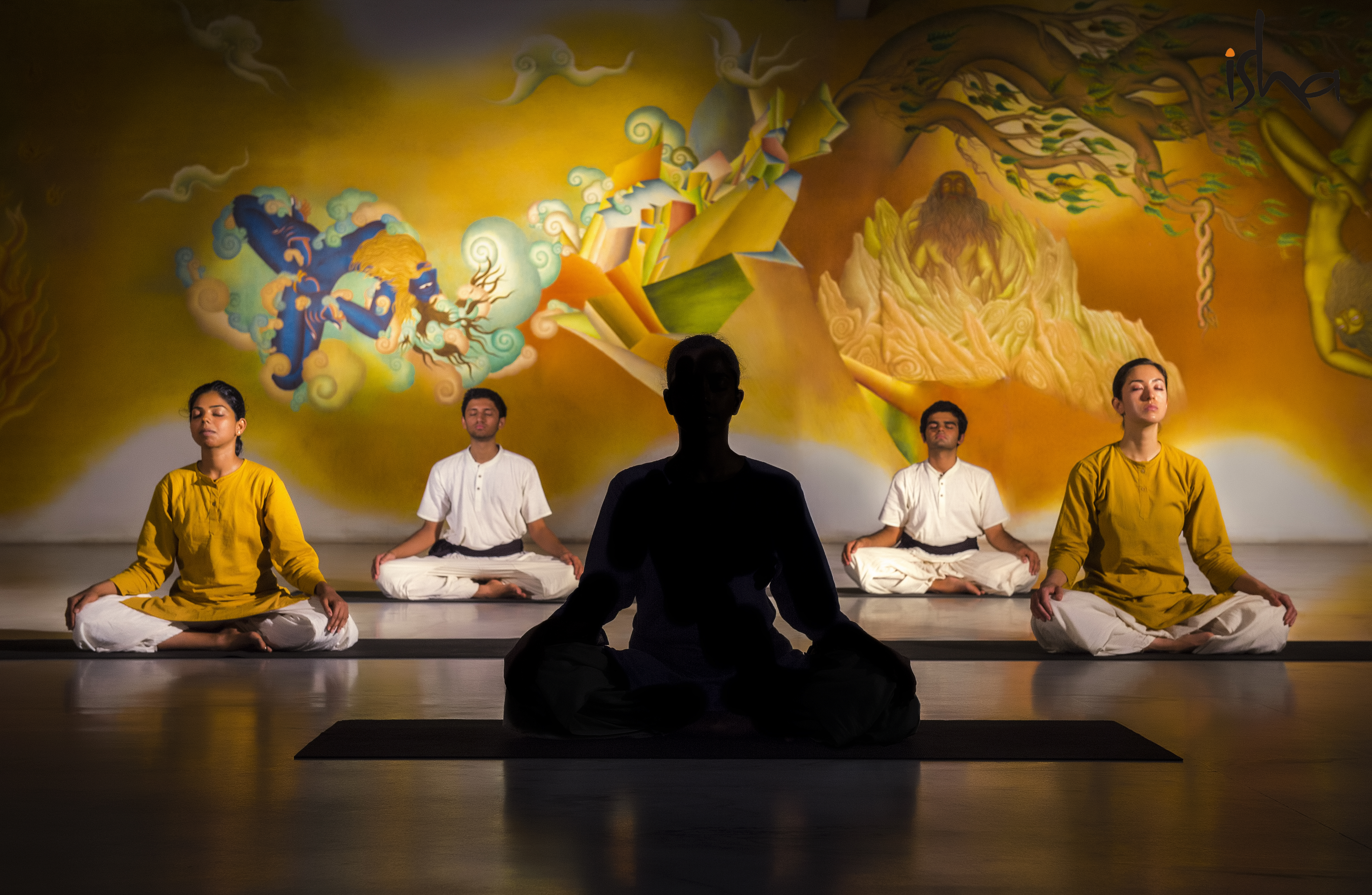 Isha Classical Hatha Yoga Classes in Dublin, Ireland